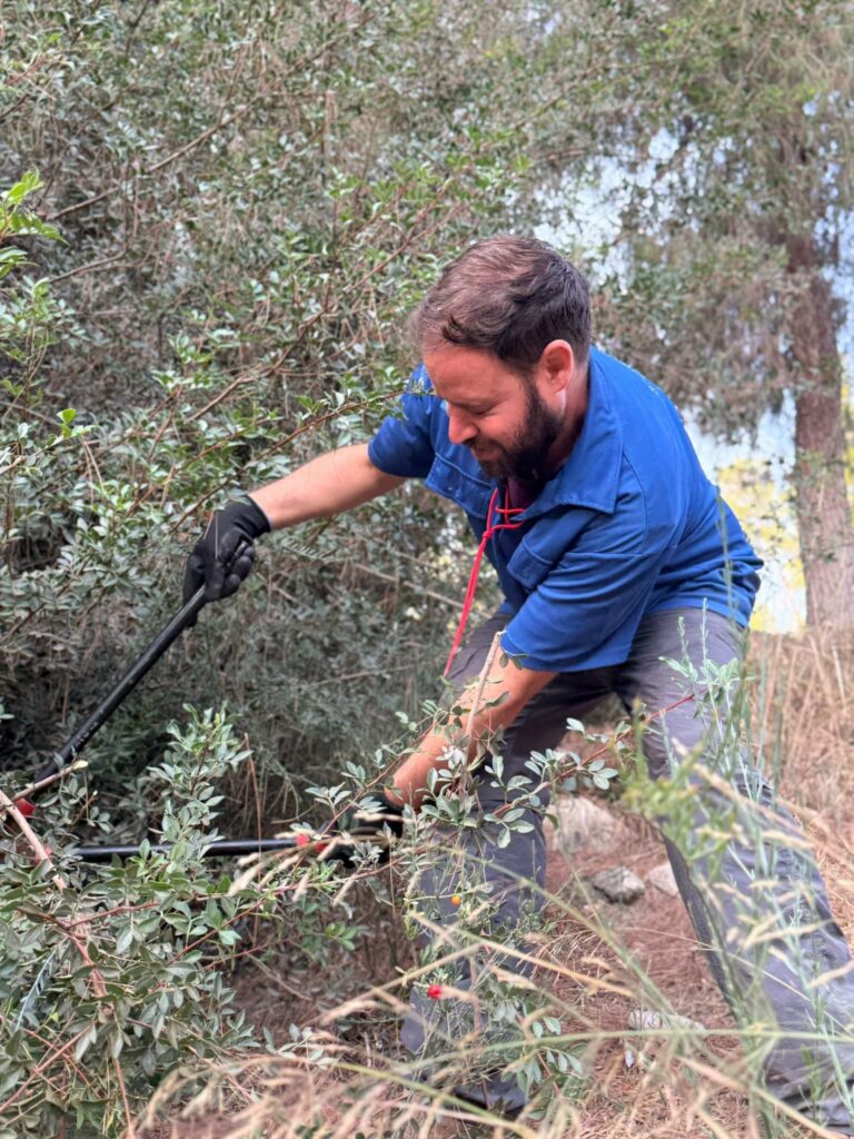 עבודות שיקום ושימור בטבע